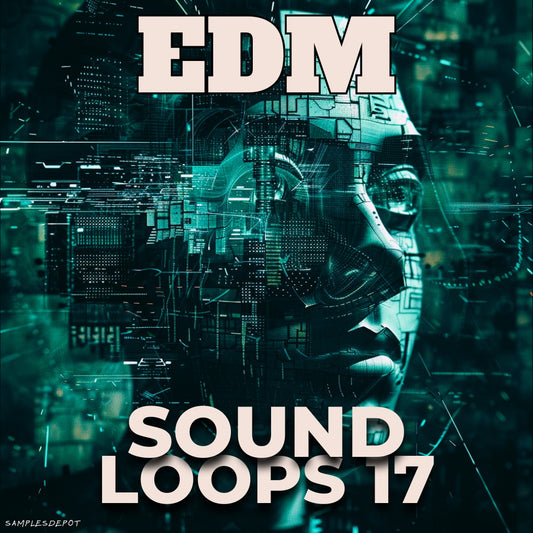 EDM Sound Loops Vol. 17 - Perfect EDM & House Productions 🔥