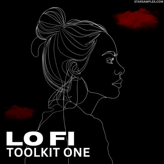 Lofi ToolKit One Shots Pack 2040 WAV Samples