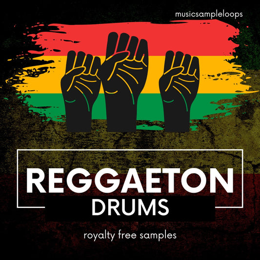 Reggaeton Drums 1000 Samples Loops