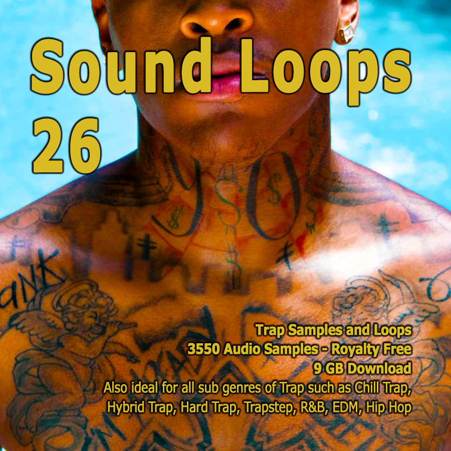 Traap Examples Trap Sound Loops Volume 26: 4400+ WAV Samples for Hip Hop & Trap Beats ...